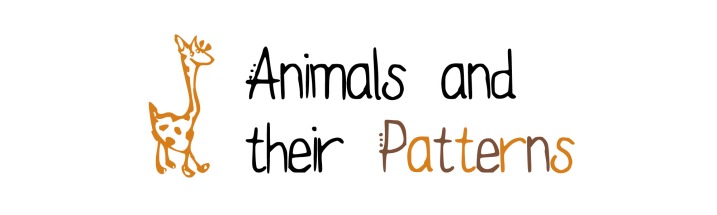 Animals_and_Their_Pattern